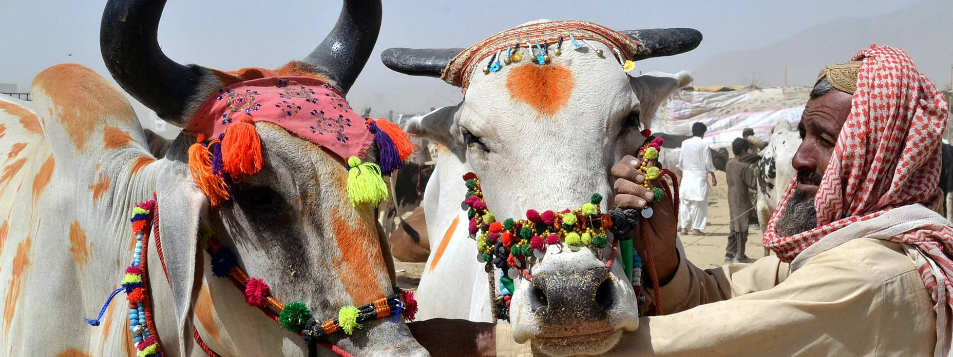 Feier des Opferfestes in Asien: Gebete und Traditionen