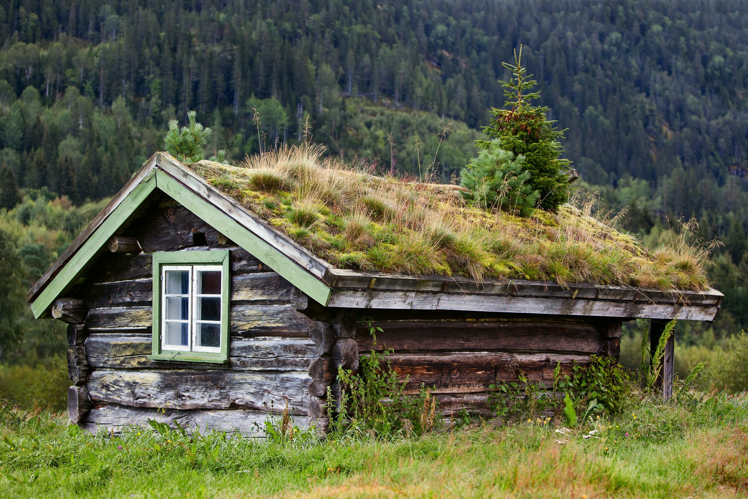 Forn Siðr: Anerkannte Rückkehr zu nordischen Wurzeln